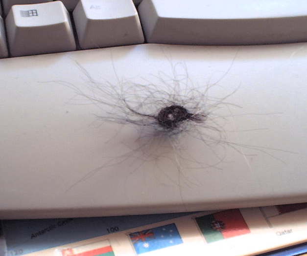 [Spiderlike knot of hair]