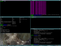 Bunch of terminals in KDE